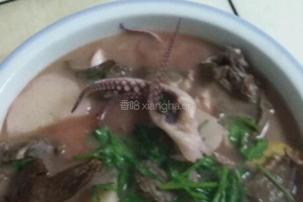 猪心鱿鱼须汤的做法图解12
