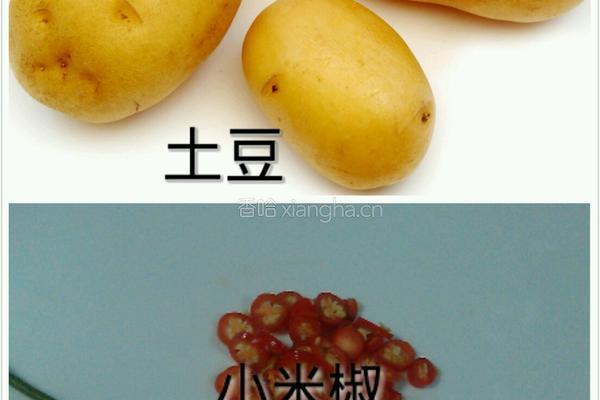 酸辣土豆丝的做法图解1
