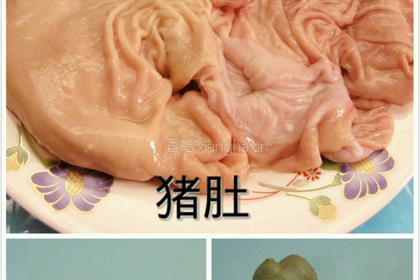 青椒焖猪肚的做法图解1