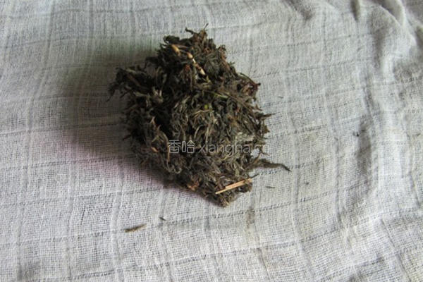 绵茵陈鲫鱼汤的做法图解4