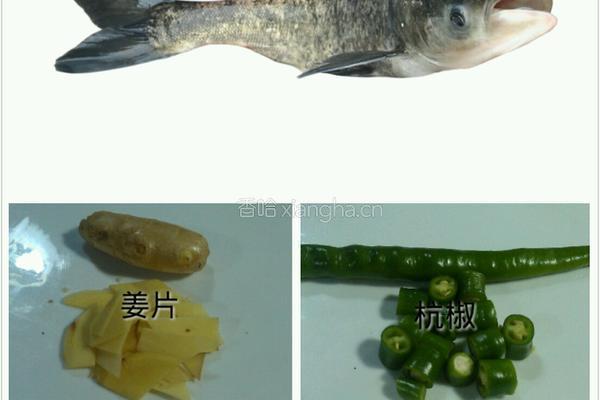 湘潭水煮活鱼的做法图解1