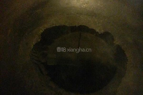 蒜蓉粉丝蒸扇贝的做法图解7
