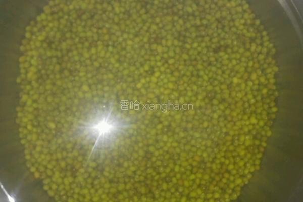 自发豆芽的做法图解1