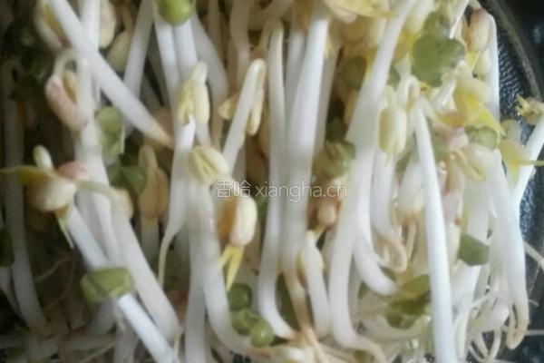 自发豆芽的做法图解4