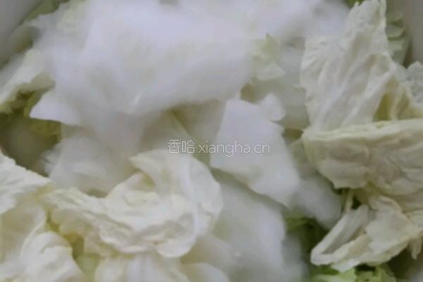 辣白菜的做法图解1
