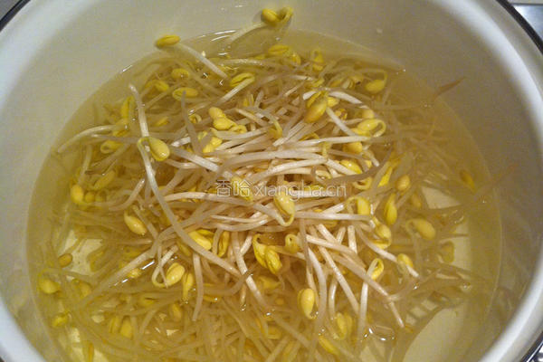 鲮鱼炒豆芽的做法图解3