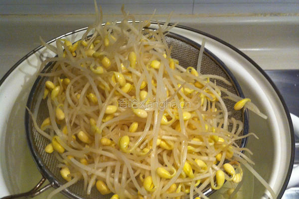 鲮鱼炒豆芽的做法图解4