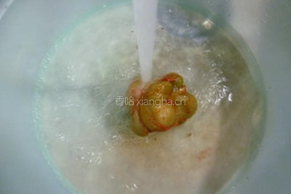 榨菜炒苦瓜的做法图解4