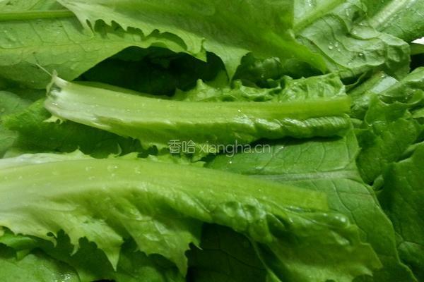 豆豉鲮鱼油麦菜的做法图解2
