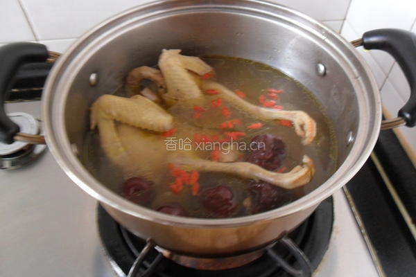 黄芪大枣鸽子汤的做法图解5
