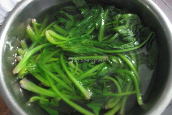 陈醋菠菜的做法图解3