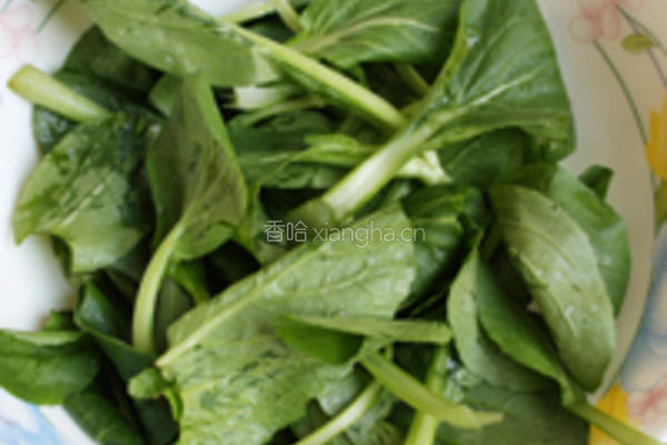 金针油菜鸭腿面的做法图解3