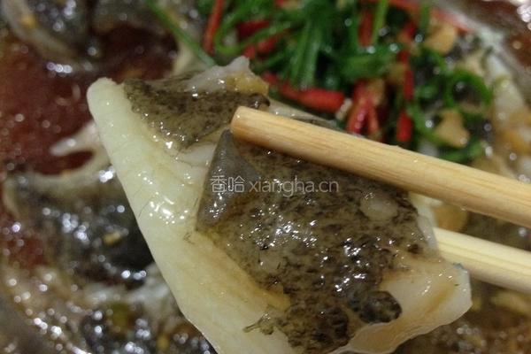 蒸多宝鱼的做法图解9