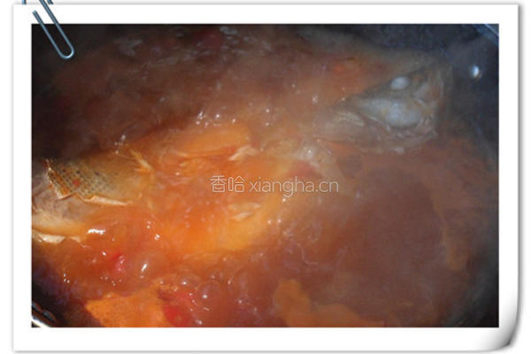 茄汁鲈鱼面的做法图解8
