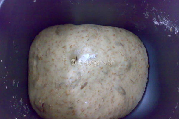 燕麦提子吐司的做法图解8