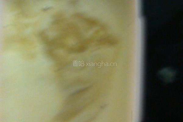 咖啡冰淇淋的做法图解5