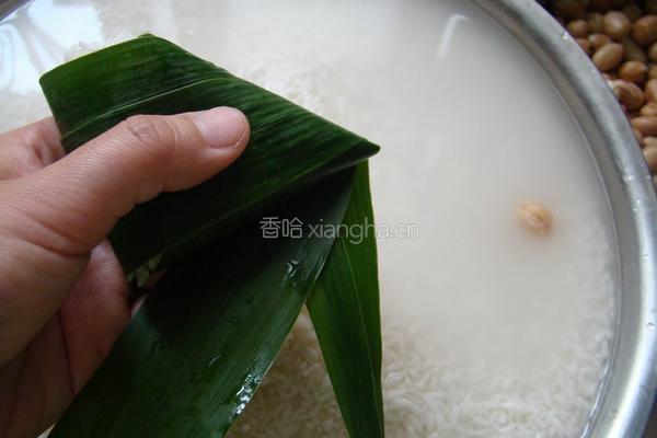 蜜枣粽子的做法图解8