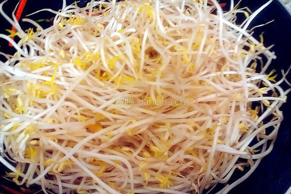 榨菜银丝卷的做法图解6