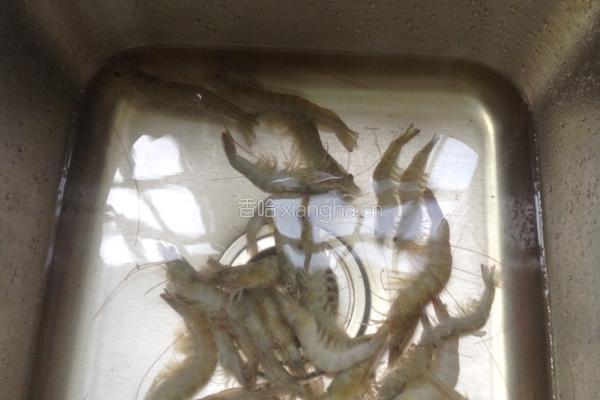 黑胡椒蒜泥烤虾的做法图解1