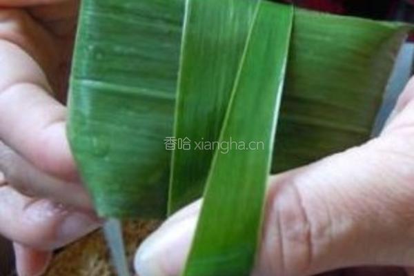 包粽子的做法图解6