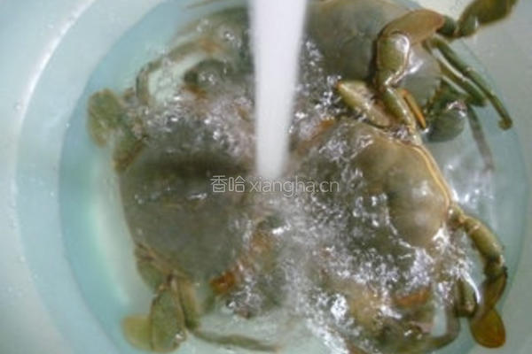 清蒸青蟹的做法图解8