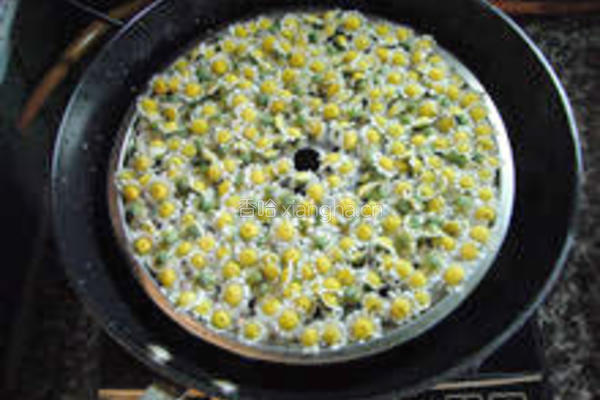 明目菊花茶的做法图解5