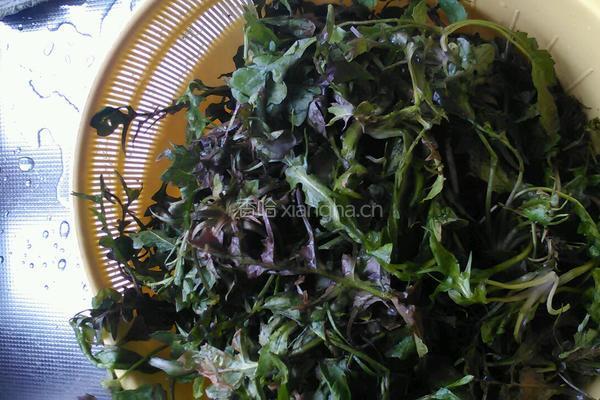 凉拌荠菜的做法图解1