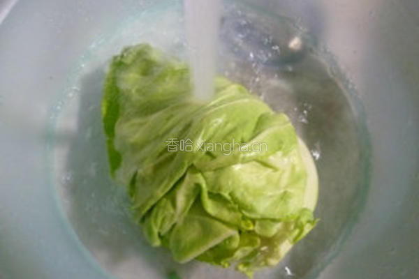 洋葱牛心菜炒粉条的做法图解4