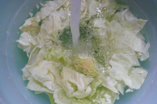 豆豉鲮鱼炒包心菜的做法图解2