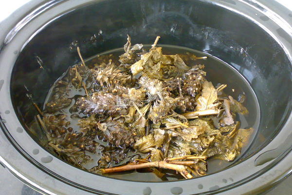 红糖夏桑菊的做法图解5
