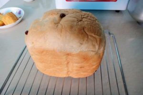 葡萄干养生面包的做法图解7