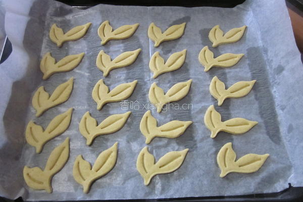 玉米面苏打饼干的做法图解5