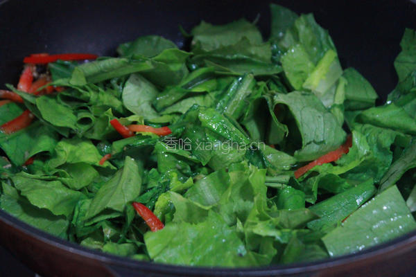 豆豉鲮鱼油麦菜的做法图解4