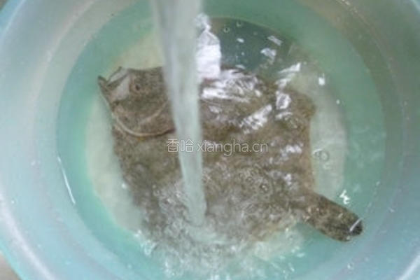 葱油多宝鱼的做法图解3