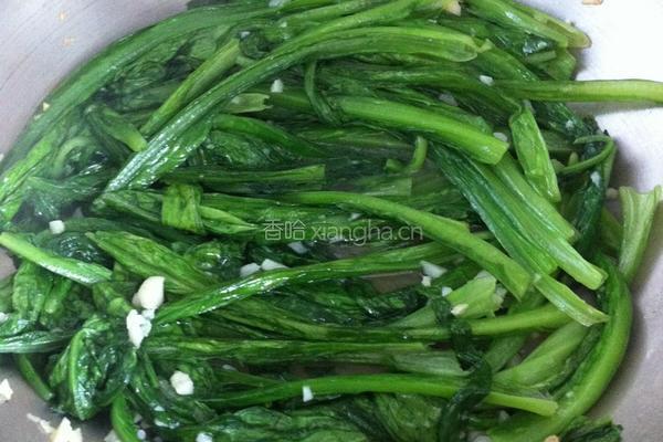豆豉鲮鱼油麦菜的做法图解3