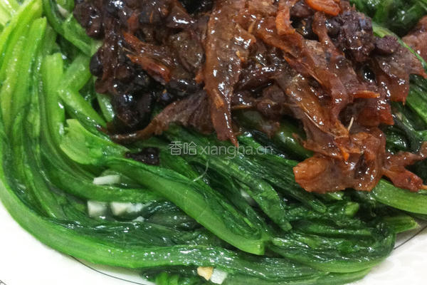 豆豉鲮鱼油麦菜的做法图解5