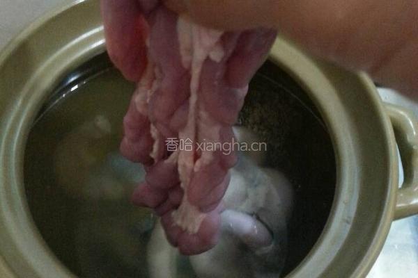 青橄榄炖猪粉肠的做法图解7