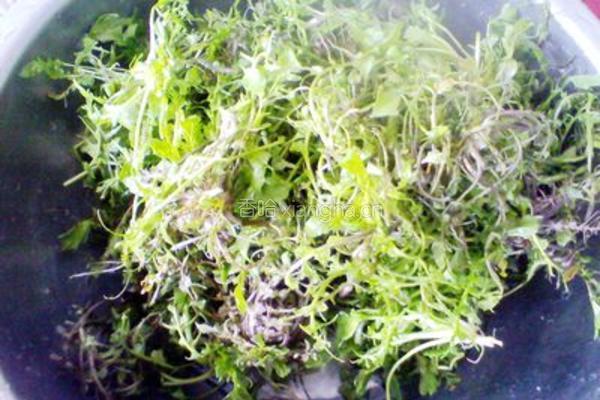 荠菜拌香干的做法图解1