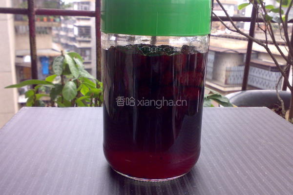 桑葚酒的做法图解10