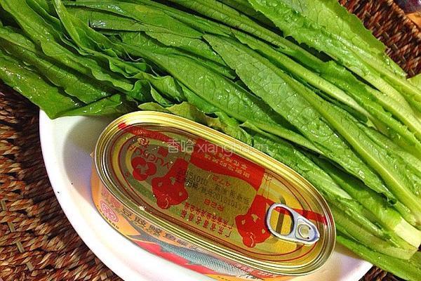豆鼓鲮鱼油麦菜的做法图解1