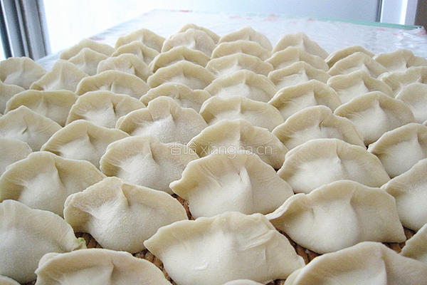 甘蓝菜水饺的做法图解12