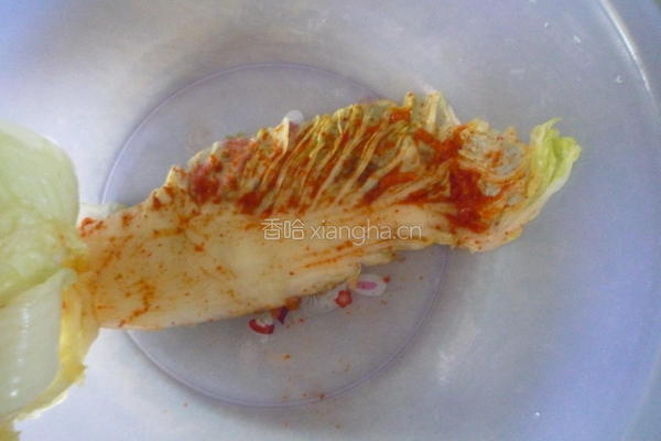 自制辣白菜的做法图解11