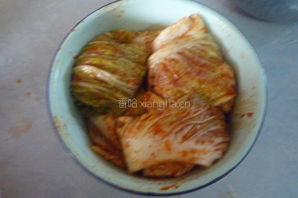 自制辣白菜的做法图解13