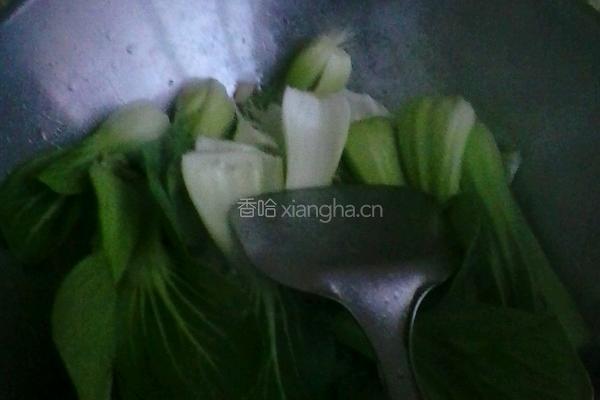 耗油油菜的做法图解3