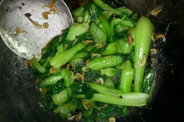虾米油菜的做法图解7