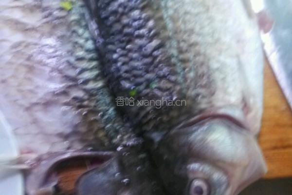 剁椒鲫鱼的做法图解1