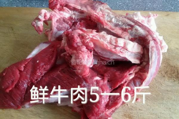 砂锅炖牛肉的做法图解1