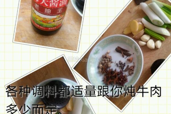 砂锅炖牛肉的做法图解15
