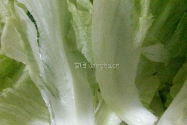 鸡蛋饼卷生菜的做法图解1