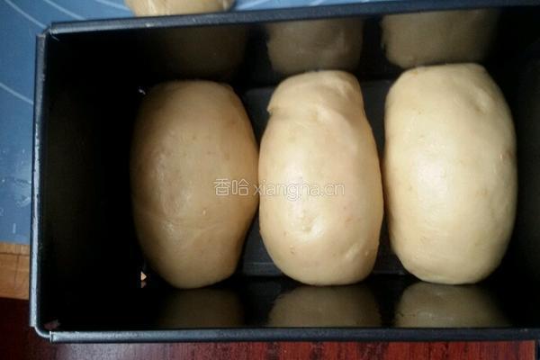 土司牛奶面包的做法图解7